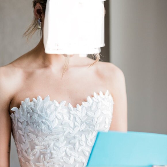 Mira Zwillinger, Charla Dress and Matching Veil, Size 6 - Picture 4 of 8